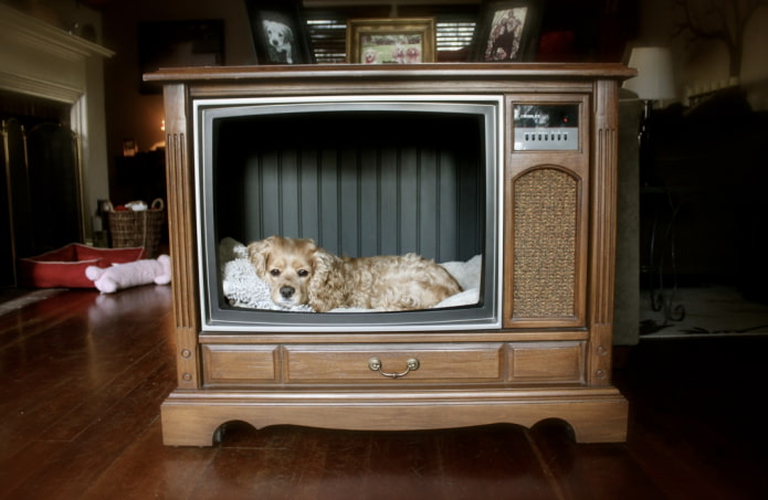 What can be done from an old TV: 10 useful ideas