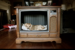 Шта се може учинити од старог телевизора: 10 корисних идеја