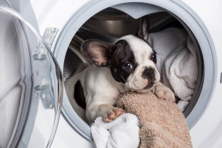 Do I need to close the washing machine door? (Let's analyze all the pros and cons)