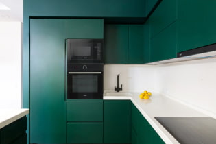 Matte kitchen design features