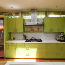 Olive kitchen design-1