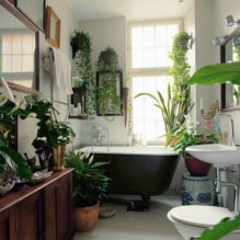 What plants to choose for the bathroom? -0