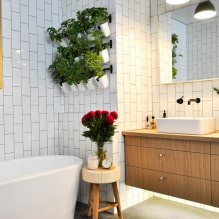 Milyen növényeket válasszon a fürdőszobához?