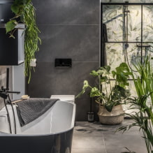 What plants to choose for the bathroom? -5