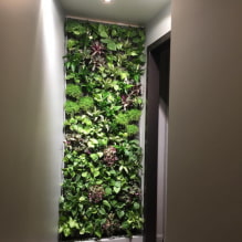 How to make vertical landscaping in the interior? -0