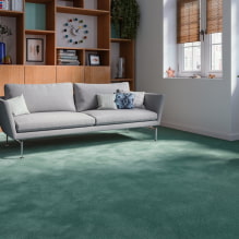 Carpet for home - recommendations for choosing-5