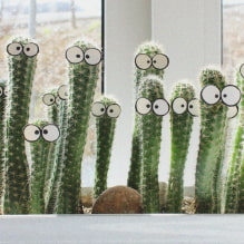 Házi kaktuszok-0