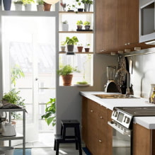 What plants can be used in the kitchen? -4