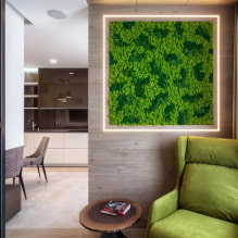 Features of the use of moss in interior design-1
