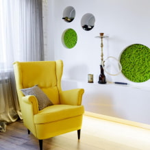 Features of the use of moss in interior design-4