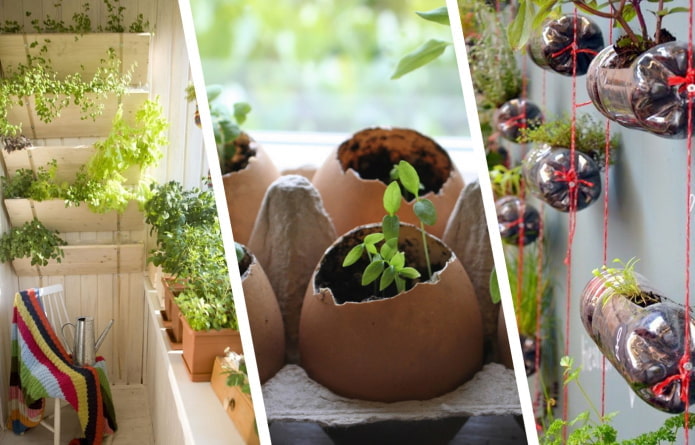 Како лепо поставити саднице у стан?