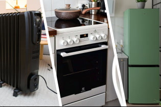 What household appliances are the most voracious?