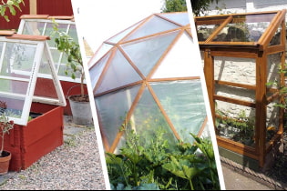 Orihinal na mga ideya para sa mga greenhouse