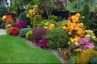 Декоративни храсти за градината