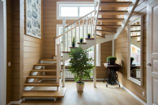Дизајн простора испод степеништа: стилска и функционална решења (95 фотографија)