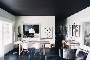 Црни плафон у соби: карактеристике дизајна, дизајн, врсте, комбинације, фотографије