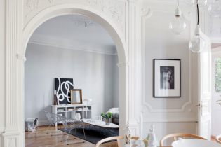 Arch in the apartment: design features, types, design, finishing options
