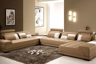 Living room interior in brown tones: features, photos